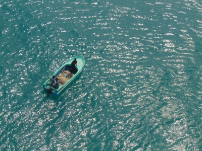 Plastic nurdle spill from sunken cargo ship reaches TN's Dhanushkodi sanctuary, raising alarm | Plastic nurdle spill from sunken cargo ship reaches TN's Dhanushkodi sanctuary, raising alarm Plastic nurdle spill from sunken cargo ship reaches TN's Dhanushkodi sanctuary, raising alarm | Plastic nurdle spill from sunken cargo ship reaches TN's Dhanushkodi sanctuary, raising alarm