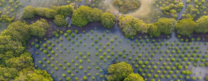 UN recognises World Restoration Flagships in three continents | UN recognises World Restoration Flagships in three continents UN recognises World Restoration Flagships in three continents | UN recognises World Restoration Flagships in three continents