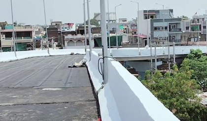 'Seems like video game': MP bridge with 90-degree turn draws criticism from Congress, passersby | 'Seems like video game': MP bridge with 90-degree turn draws criticism from Congress, passersby 'Seems like video game': MP bridge with 90-degree turn draws criticism from Congress, passersby | 'Seems like video game': MP bridge with 90-degree turn draws criticism from Congress, passersby