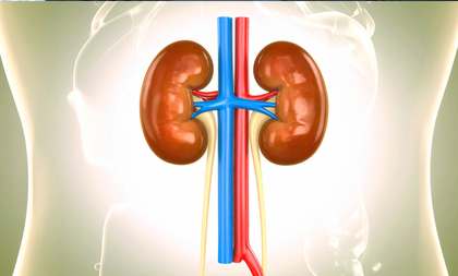 Prior Covid vaccination proved beneficial for acute kidney injury patients: Study | Prior Covid vaccination proved beneficial for acute kidney injury patients: Study Prior Covid vaccination proved beneficial for acute kidney injury patients: Study | Prior Covid vaccination proved beneficial for acute kidney injury patients: Study