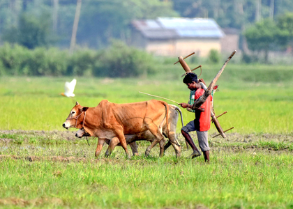 Moong procurement: Farmers' body to move court against 'terming the commodity toxic' | Moong procurement: Farmers' body to move court against 'terming the commodity toxic' Moong procurement: Farmers' body to move court against 'terming the commodity toxic' | Moong procurement: Farmers' body to move court against 'terming the commodity toxic'