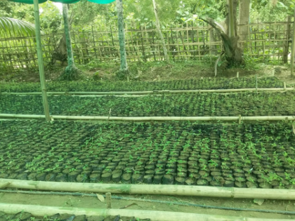 Tripura has begun experimental soilless hydroponic farming: Minister | Tripura has begun experimental soilless hydroponic farming: Minister Tripura has begun experimental soilless hydroponic farming: Minister | Tripura has begun experimental soilless hydroponic farming: Minister