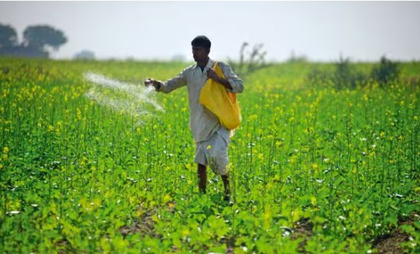 Total area sown under kharif crops crosses 89 lakh hectares so far | Total area sown under kharif crops crosses 89 lakh hectares so far Total area sown under kharif crops crosses 89 lakh hectares so far | Total area sown under kharif crops crosses 89 lakh hectares so far