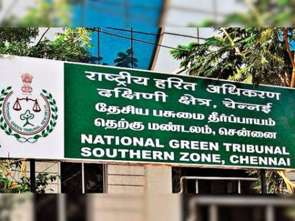 NGT directs TNPCB to issue dos and don’ts ahead of Ganesh festival | NGT directs TNPCB to issue dos and don’ts ahead of Ganesh festival NGT directs TNPCB to issue dos and don’ts ahead of Ganesh festival | NGT directs TNPCB to issue dos and don’ts ahead of Ganesh festival