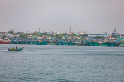 Boats return with bumper catch after 61-day fishing ban ends in TN | Boats return with bumper catch after 61-day fishing ban ends in TN Boats return with bumper catch after 61-day fishing ban ends in TN | Boats return with bumper catch after 61-day fishing ban ends in TN