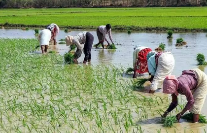 TN farmers urge CM Stalin to ensure release of pending Cauvery water from Karnataka | TN farmers urge CM Stalin to ensure release of pending Cauvery water from Karnataka TN farmers urge CM Stalin to ensure release of pending Cauvery water from Karnataka | TN farmers urge CM Stalin to ensure release of pending Cauvery water from Karnataka