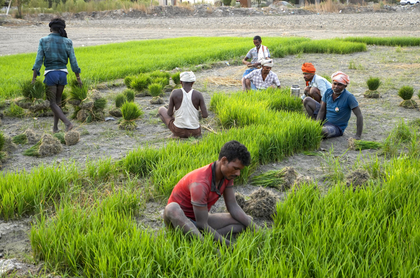 Inflation eases further in May for India’s farm and rural workers | Inflation eases further in May for India’s farm and rural workers Inflation eases further in May for India’s farm and rural workers | Inflation eases further in May for India’s farm and rural workers