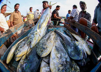 India included in revised EU draft list for continued aquaculture product exports | India included in revised EU draft list for continued aquaculture product exports India included in revised EU draft list for continued aquaculture product exports | India included in revised EU draft list for continued aquaculture product exports