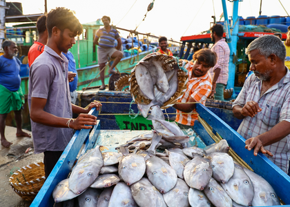 India's seafood exports up 14 pc in April-Oct, shrimp exports to US robust in 5 years | India's seafood exports up 14 pc in April-Oct, shrimp exports to US robust in 5 years