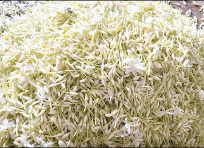 TN moves to secure GI tags for five indigenous farm products | TN moves to secure GI tags for five indigenous farm products TN moves to secure GI tags for five indigenous farm products | TN moves to secure GI tags for five indigenous farm products