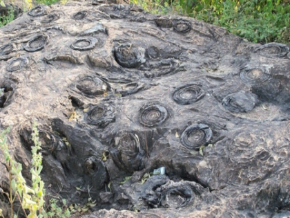 UP’s Salkhan Fossils Park joins Unesco's tentative World Heritage List | UP’s Salkhan Fossils Park joins Unesco's tentative World Heritage List UP’s Salkhan Fossils Park joins Unesco's tentative World Heritage List | UP’s Salkhan Fossils Park joins Unesco's tentative World Heritage List