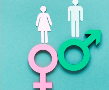 Himachal's sex ratio records improvement, touches 964 in 2024 | Himachal's sex ratio records improvement, touches 964 in 2024 Himachal's sex ratio records improvement, touches 964 in 2024 | Himachal's sex ratio records improvement, touches 964 in 2024