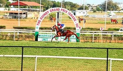 TN govt floats Rs 25 crore tender to develop eco-park on Madras Race course land | TN govt floats Rs 25 crore tender to develop eco-park on Madras Race course land TN govt floats Rs 25 crore tender to develop eco-park on Madras Race course land | TN govt floats Rs 25 crore tender to develop eco-park on Madras Race course land