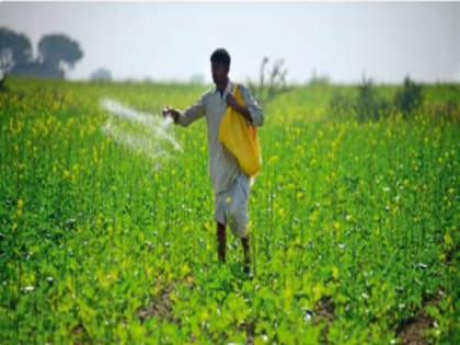 Total area sown under kharif crops crosses 137.8 lakh hectares | Total area sown under kharif crops crosses 137.8 lakh hectares Total area sown under kharif crops crosses 137.8 lakh hectares | Total area sown under kharif crops crosses 137.8 lakh hectares