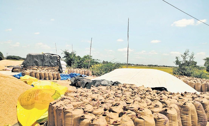 TN govt steps in to settle Rs 143 crore dues to farmers after NCCF delays payment | TN govt steps in to settle Rs 143 crore dues to farmers after NCCF delays payment TN govt steps in to settle Rs 143 crore dues to farmers after NCCF delays payment | TN govt steps in to settle Rs 143 crore dues to farmers after NCCF delays payment