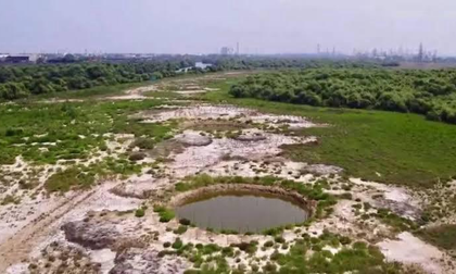 TN govt creates freshwater ponds to revive mangroves in polluted Ennore estuary | TN govt creates freshwater ponds to revive mangroves in polluted Ennore estuary TN govt creates freshwater ponds to revive mangroves in polluted Ennore estuary | TN govt creates freshwater ponds to revive mangroves in polluted Ennore estuary