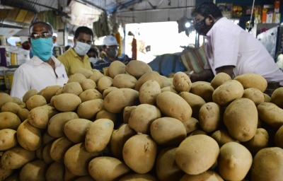 International Potato Centre’s South Asia Regional Centre to be set up at Agra: Cabinet | International Potato Centre’s South Asia Regional Centre to be set up at Agra: Cabinet International Potato Centre’s South Asia Regional Centre to be set up at Agra: Cabinet | International Potato Centre’s South Asia Regional Centre to be set up at Agra: Cabinet