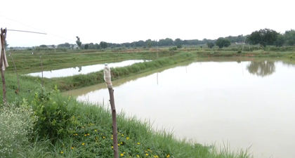 Jharkhand’s former Maoists turn fish farmers, thanks to Pradhan Mantri Matsya Sampada Yojana | Jharkhand’s former Maoists turn fish farmers, thanks to Pradhan Mantri Matsya Sampada Yojana Jharkhand’s former Maoists turn fish farmers, thanks to Pradhan Mantri Matsya Sampada Yojana | Jharkhand’s former Maoists turn fish farmers, thanks to Pradhan Mantri Matsya Sampada Yojana