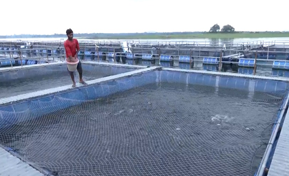 Jharkhand: PM Matsya Sampada Yojana transforms lives of farmers, makes them 'self-reliant' | Jharkhand: PM Matsya Sampada Yojana transforms lives of farmers, makes them 'self-reliant' Jharkhand: PM Matsya Sampada Yojana transforms lives of farmers, makes them 'self-reliant' | Jharkhand: PM Matsya Sampada Yojana transforms lives of farmers, makes them 'self-reliant'