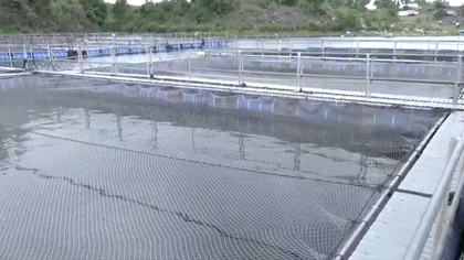 Abandoned coal mines in Jharkhand turn into thriving fish farms, thanks to PMMSY | Abandoned coal mines in Jharkhand turn into thriving fish farms, thanks to PMMSY Abandoned coal mines in Jharkhand turn into thriving fish farms, thanks to PMMSY | Abandoned coal mines in Jharkhand turn into thriving fish farms, thanks to PMMSY