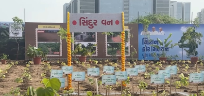 PM Modi hails grassroots green initiatives, calls 'Ek Ped Maa Ke Naam' movement for future generations | PM Modi hails grassroots green initiatives, calls 'Ek Ped Maa Ke Naam' movement for future generations PM Modi hails grassroots green initiatives, calls 'Ek Ped Maa Ke Naam' movement for future generations | PM Modi hails grassroots green initiatives, calls 'Ek Ped Maa Ke Naam' movement for future generations