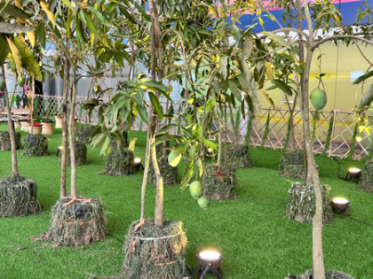 34th Mango Festival: Delhi Minister Kapil Mishra, growers tune into 'Mann Ki Baat' at venue | 34th Mango Festival: Delhi Minister Kapil Mishra, growers tune into 'Mann Ki Baat' at venue 34th Mango Festival: Delhi Minister Kapil Mishra, growers tune into 'Mann Ki Baat' at venue | 34th Mango Festival: Delhi Minister Kapil Mishra, growers tune into 'Mann Ki Baat' at venue