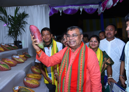 Mango varieties being experimentally cultivated in Tripura to boost farmers’ income: Minister | Mango varieties being experimentally cultivated in Tripura to boost farmers’ income: Minister Mango varieties being experimentally cultivated in Tripura to boost farmers’ income: Minister | Mango varieties being experimentally cultivated in Tripura to boost farmers’ income: Minister