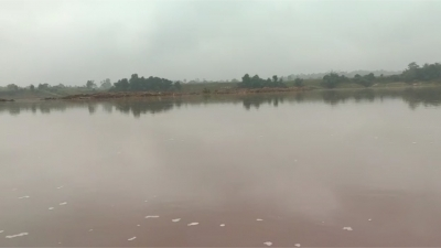 Three siblings drown while bathing in pond in MP village | Three siblings drown while bathing in pond in MP village Three siblings drown while bathing in pond in MP village | Three siblings drown while bathing in pond in MP village