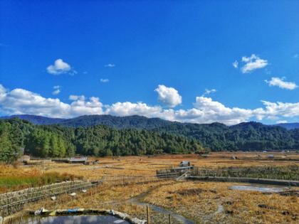 With 79 pc forest cover, Arunachal contributes big to India’s carbon sequestration, says CM Khandu | With 79 pc forest cover, Arunachal contributes big to India’s carbon sequestration, says CM Khandu