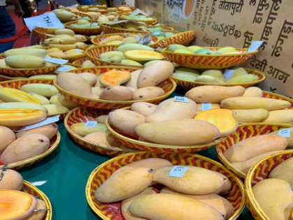 Delhi: NDMC's 2-day ‘Khaas-ye-Aam’ mango festival begins tomorrow | Delhi: NDMC's 2-day ‘Khaas-ye-Aam’ mango festival begins tomorrow Delhi: NDMC's 2-day ‘Khaas-ye-Aam’ mango festival begins tomorrow | Delhi: NDMC's 2-day ‘Khaas-ye-Aam’ mango festival begins tomorrow