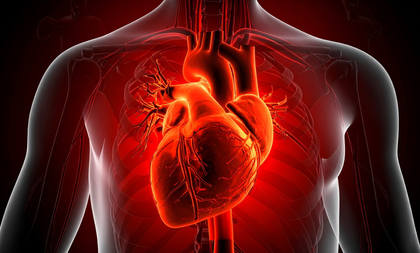 US researchers develop AI model improving sudden cardiac death prediction | US researchers develop AI model improving sudden cardiac death prediction US researchers develop AI model improving sudden cardiac death prediction | US researchers develop AI model improving sudden cardiac death prediction