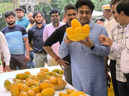 Delhi: NDMC’s two-day ‘Mango Festival’ enthrals diplomats, fruit lovers | Delhi: NDMC’s two-day ‘Mango Festival’ enthrals diplomats, fruit lovers