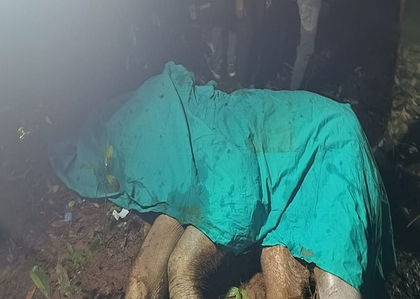 Maoist landmine claims life of young elephant in Jharkhand’s Chaibasa | Maoist landmine claims life of young elephant in Jharkhand’s Chaibasa