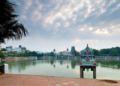 After NGT nudge, TN govt to install steel mesh around Kapaleeswarar Temple tank | After NGT nudge, TN govt to install steel mesh around Kapaleeswarar Temple tank