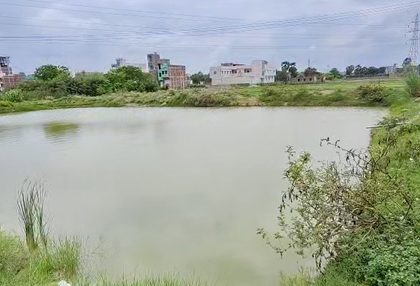 Bihar: Women in Sheikhpura become 'Aatmanirbhar' through Pradhan Mantri Matsya Sampada Yojana | Bihar: Women in Sheikhpura become 'Aatmanirbhar' through Pradhan Mantri Matsya Sampada Yojana Bihar: Women in Sheikhpura become 'Aatmanirbhar' through Pradhan Mantri Matsya Sampada Yojana | Bihar: Women in Sheikhpura become 'Aatmanirbhar' through Pradhan Mantri Matsya Sampada Yojana