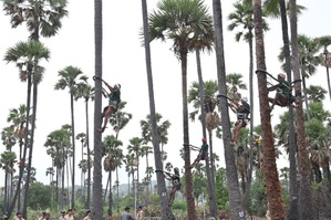 Number of people affected by adulterated toddy in Hyderabad rises to 37 | Number of people affected by adulterated toddy in Hyderabad rises to 37