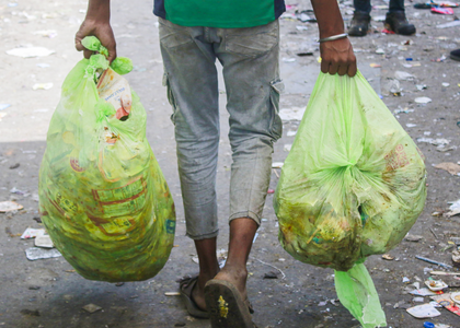 Taj city’s green push turns landfill into Miyawaki forest | Taj city’s green push turns landfill into Miyawaki forest
