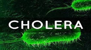Cholera outbreak in Congo reaches acute phase with rising cases | Cholera outbreak in Congo reaches acute phase with rising cases Cholera outbreak in Congo reaches acute phase with rising cases | Cholera outbreak in Congo reaches acute phase with rising cases