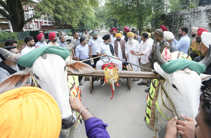 Punjab Assembly passes Bill to allow bullock cart races in Kila Raipur rural games | Punjab Assembly passes Bill to allow bullock cart races in Kila Raipur rural games