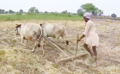 TN farmers urge Centre to implement modified Pandiyaru-Moyyar river link scheme | TN farmers urge Centre to implement modified Pandiyaru-Moyyar river link scheme TN farmers urge Centre to implement modified Pandiyaru-Moyyar river link scheme | TN farmers urge Centre to implement modified Pandiyaru-Moyyar river link scheme