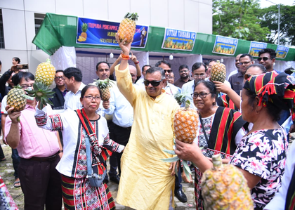 Tripura exported 73.15 MT of pineapple in seven years: Minister | Tripura exported 73.15 MT of pineapple in seven years: Minister Tripura exported 73.15 MT of pineapple in seven years: Minister | Tripura exported 73.15 MT of pineapple in seven years: Minister