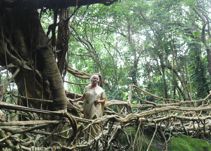 Living root bridges show the way to sustainable future: Nirmala Sitharaman | Living root bridges show the way to sustainable future: Nirmala Sitharaman Living root bridges show the way to sustainable future: Nirmala Sitharaman | Living root bridges show the way to sustainable future: Nirmala Sitharaman