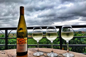 Sula Vineyards' revenue falls 7.9 pc in Q1; stock drops nearly 40 pc in 1 year | Sula Vineyards' revenue falls 7.9 pc in Q1; stock drops nearly 40 pc in 1 year Sula Vineyards' revenue falls 7.9 pc in Q1; stock drops nearly 40 pc in 1 year | Sula Vineyards' revenue falls 7.9 pc in Q1; stock drops nearly 40 pc in 1 year