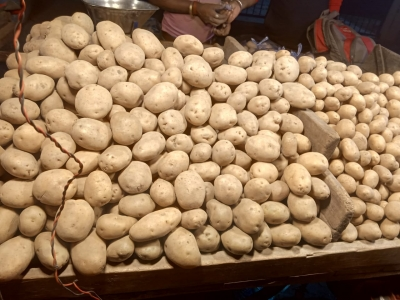 Gujarat emerges as leader in production of processed potatoes | Gujarat emerges as leader in production of processed potatoes Gujarat emerges as leader in production of processed potatoes | Gujarat emerges as leader in production of processed potatoes