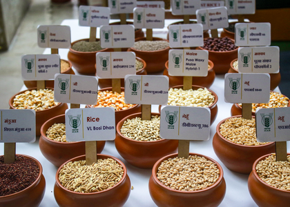 Centre aims to scale up domestic pulses production to 350 lakh tonnes by 2030-31 | Centre aims to scale up domestic pulses production to 350 lakh tonnes by 2030-31 Centre aims to scale up domestic pulses production to 350 lakh tonnes by 2030-31 | Centre aims to scale up domestic pulses production to 350 lakh tonnes by 2030-31