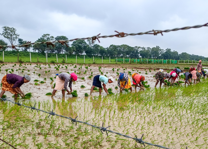 Cabinet approves PM Dhan-Dhaanya Krishi Yojana in big push to agriculture sector | Cabinet approves PM Dhan-Dhaanya Krishi Yojana in big push to agriculture sector Cabinet approves PM Dhan-Dhaanya Krishi Yojana in big push to agriculture sector | Cabinet approves PM Dhan-Dhaanya Krishi Yojana in big push to agriculture sector