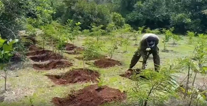 UP to develop thematic forests across state from July 18 | UP to develop thematic forests across state from July 18 UP to develop thematic forests across state from July 18 | UP to develop thematic forests across state from July 18