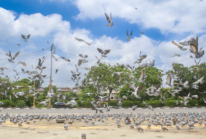 Delhi's air quality improves after rainfall, AQI in 'satisfactory' category | Delhi's air quality improves after rainfall, AQI in 'satisfactory' category Delhi's air quality improves after rainfall, AQI in 'satisfactory' category | Delhi's air quality improves after rainfall, AQI in 'satisfactory' category