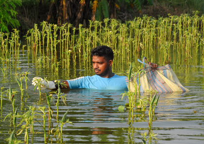 Crops damage in heavy rains causes vegetable prices to skyrocket in Bengal cities | Crops damage in heavy rains causes vegetable prices to skyrocket in Bengal cities Crops damage in heavy rains causes vegetable prices to skyrocket in Bengal cities | Crops damage in heavy rains causes vegetable prices to skyrocket in Bengal cities