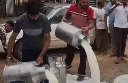 Gujarat: Sabar Dairy announces revised milk price for cattle farmers amid protests | Gujarat: Sabar Dairy announces revised milk price for cattle farmers amid protests